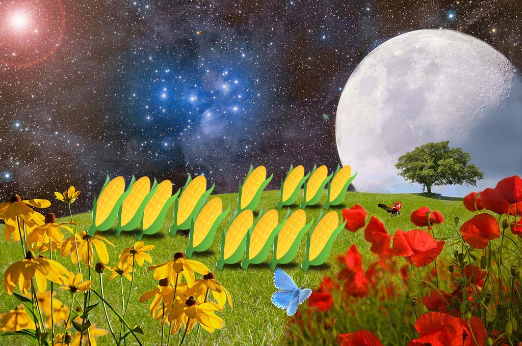 Lado oculto da lua