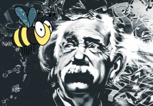 importância das abelhas