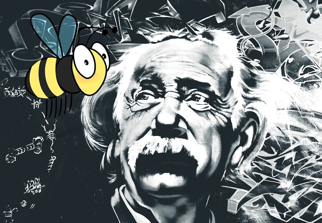 importância das abelhas