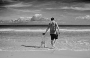 vazamento de petróleo