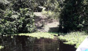 Ilhas artificiais na Amazônia