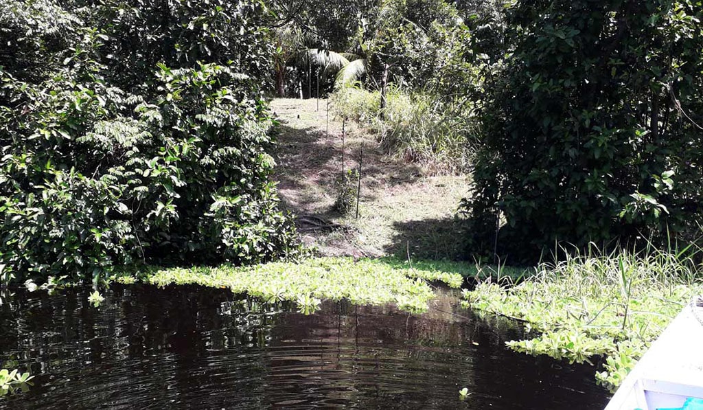 Ilhas artificiais na Amazônia