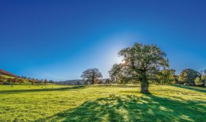 melhorou a qualidade do ar