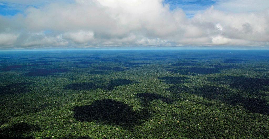 Dia de Proteção às Florestas