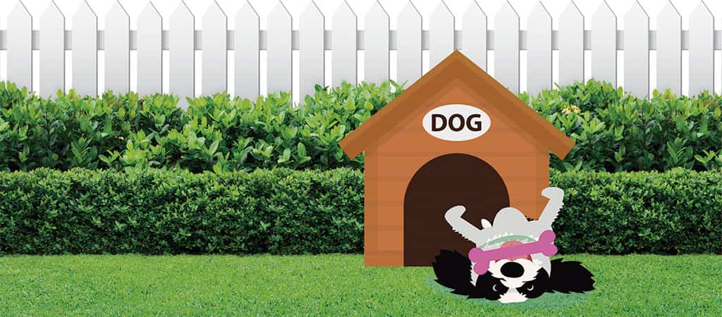 Mike no Dia Internacional da Imprensa