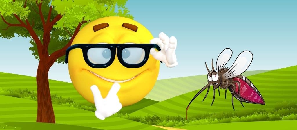 Quem transmite a dengue?