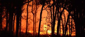 entenda por que população europeia passa mal com onda de calor