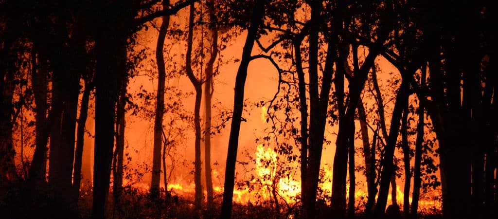 entenda por que população europeia passa mal com onda de calor