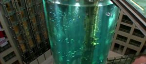 Aquário gigante explode em Berlim