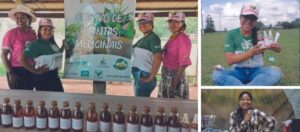 Trabalhadores da etnia Haleti-Paresi