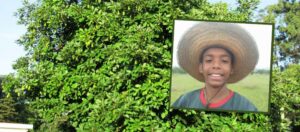 Menino do abacate