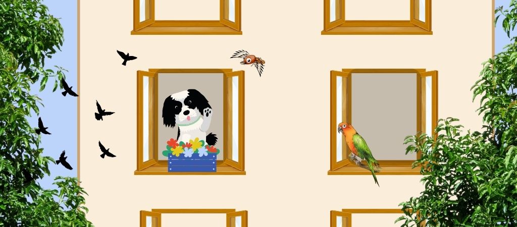 Mike em nova fase em seu novo lar