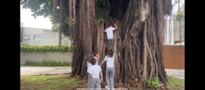 Alunos da escola Lourenço Castanho