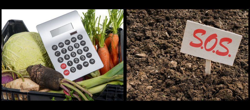 Aumento dos preços das verduras e frutas