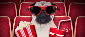 Fim da greve em Hollywood