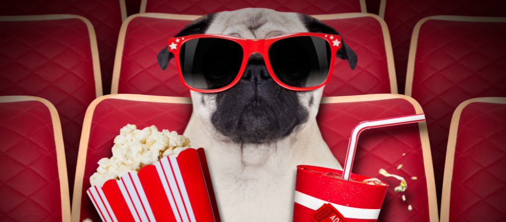 Fim da greve em Hollywood