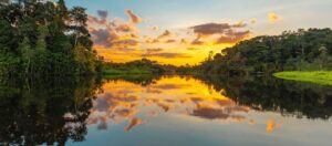 Diminuiu desmatamento na Amazônia