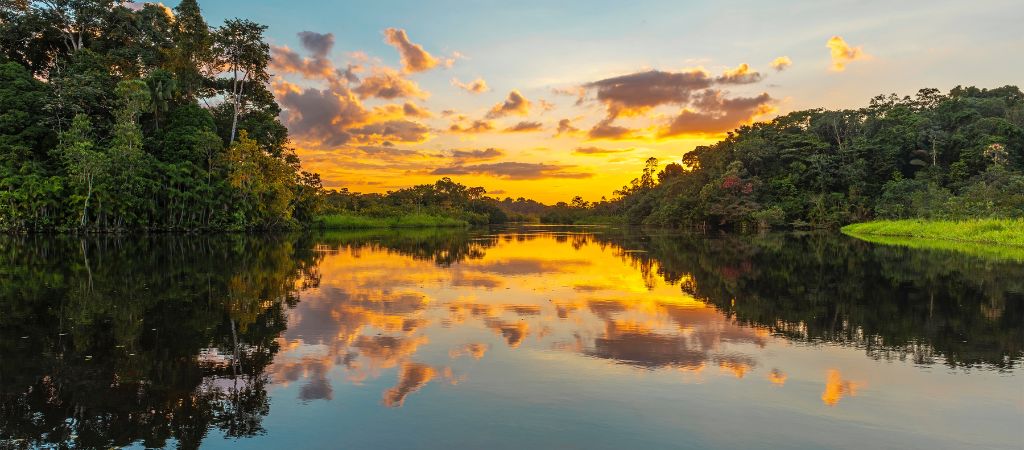 Diminuiu desmatamento na Amazônia
