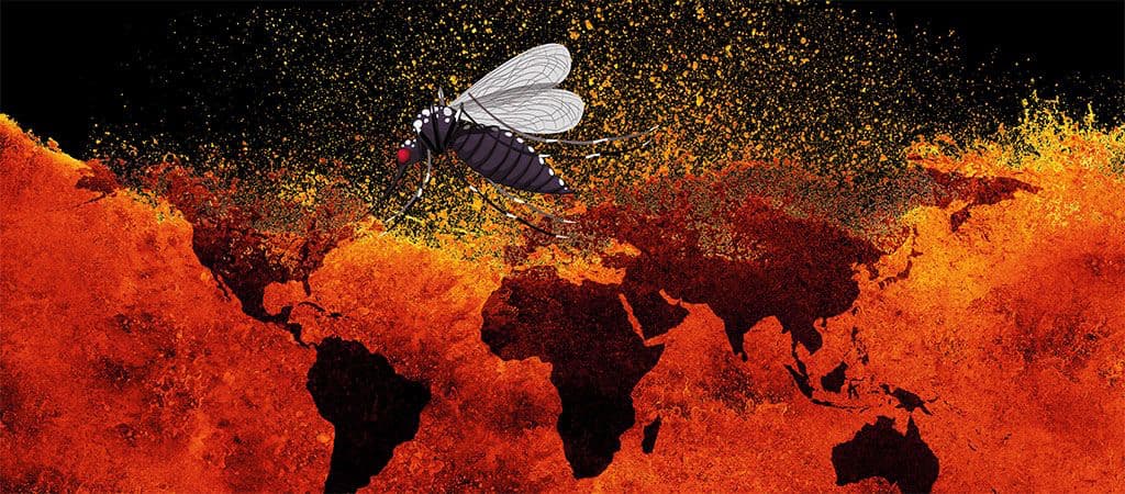 A relação entre as arboviroses e as mudanças climáticas