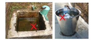 Elimine o foco do mosquito que transmite a dengue