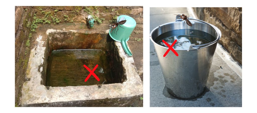 Elimine o foco do mosquito que transmite a dengue