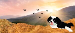 Mike admirando os passarinhos migratórios