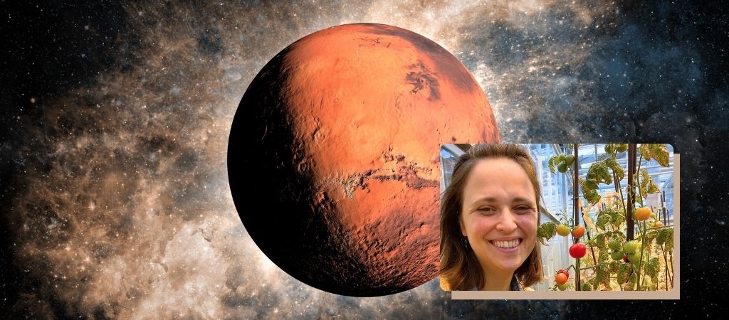Brasileira desenvolve método para plantar tomate em Marte