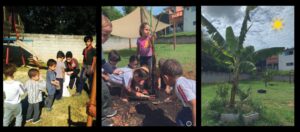 Prédios verdes da agrofloresta de bolso recuperam o solo