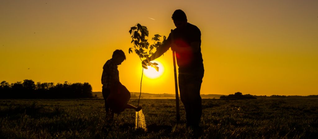 Restauração da natureza