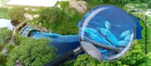 Rio em Jundiai fica completamente azul após carreta derramar produto químico