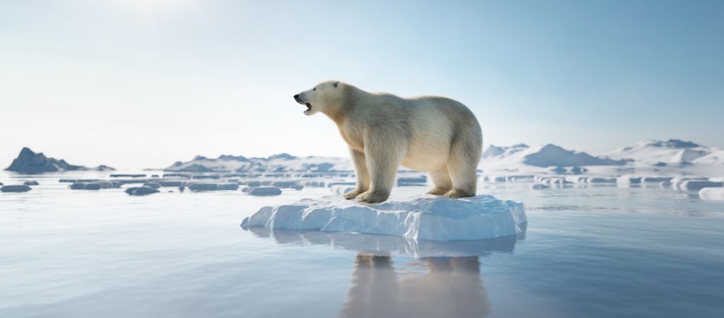O impacto do aquecimento global no gelo dos polos