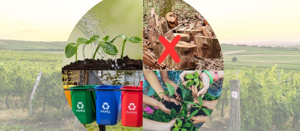 Programa Cidades Modelo Verdes Resilientes