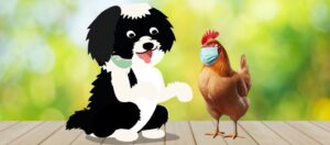 Reflexões de um cão curioso entre ração, galinhas gripadas e cidades incríveis