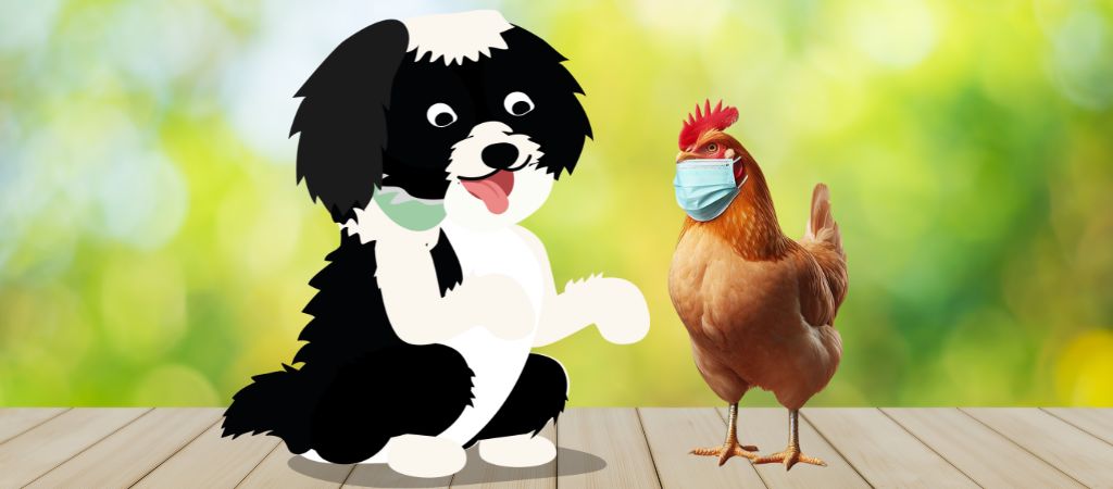 Reflexões de um cão curioso entre ração, galinhas gripadas e cidades incríveis