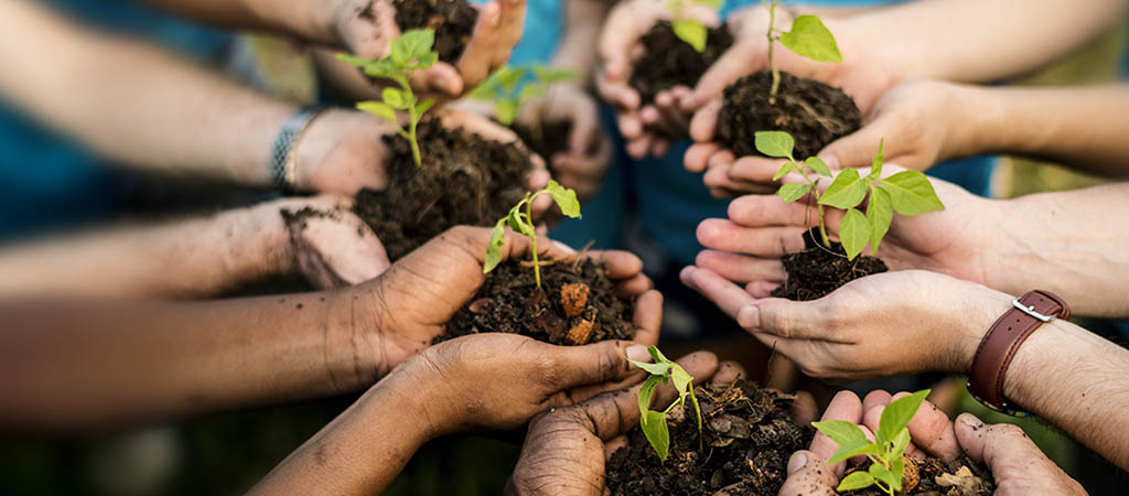 Semana do Meio Ambiente: como educadores podem inspirar a transformação?