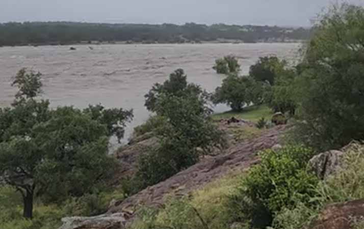 Cães do Texas salvam moradores das enchentes