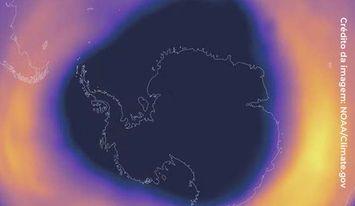Camada de ozônio tem a maior espessura em décadas