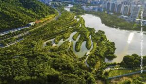 Arquiteto que criou as cidades-esponja sofre acidente no Brasil