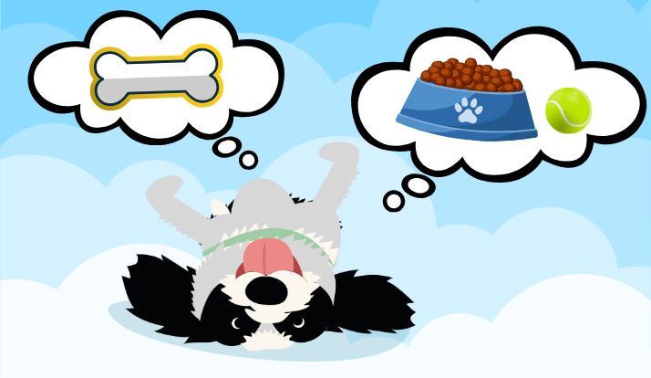 Memórias de um cachorro feliz, o Mike!