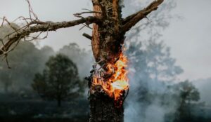 O Brasil é um dos maiores emissores de gases poluentes do planeta