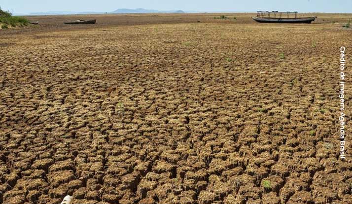 Mais da metade do Nordeste deve ter clima de deserto até 2100