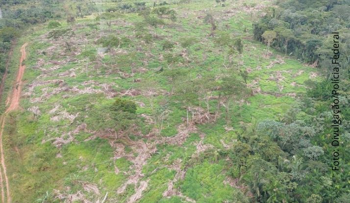 Desmatamento na Amazônia