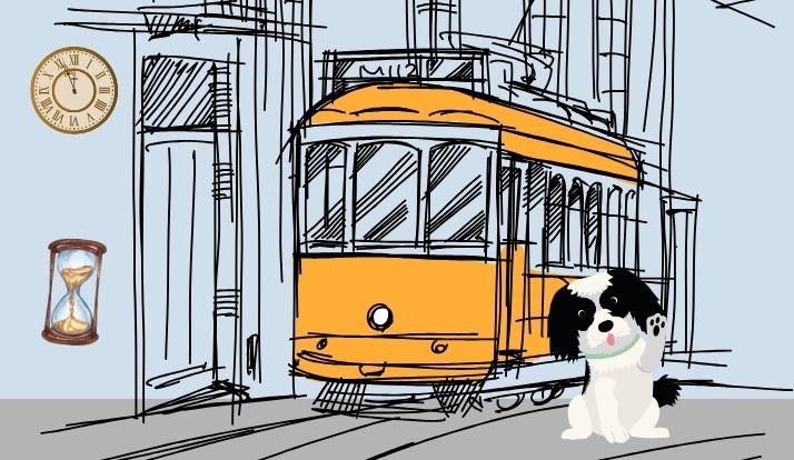 Reflexões caninas sobre a modernização ao longo do tempo tempo